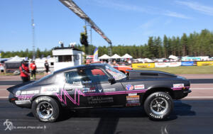 Tallhed midsommar 22