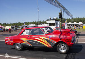 Tallhed midsommar 22