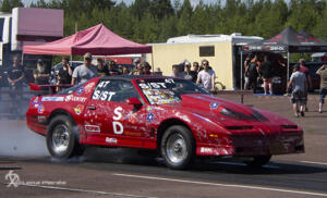 Tallhed midsommar 22