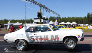 Tallhed midsommar 22