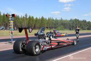 Tallhed midsommar 22