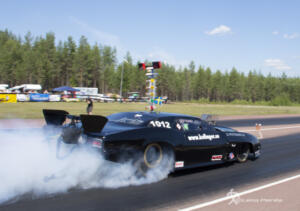 Tallhed midsommar 22