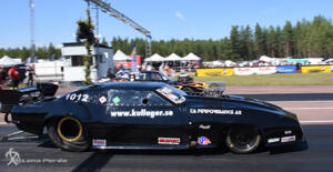 Tallhed midsommar 22