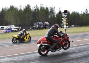 3 Tallhed Orsa Midsommar 2021
