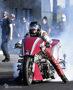  LMP0703 STB Hegre LP540