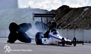  LMP5681 TF Anti HortoLp50